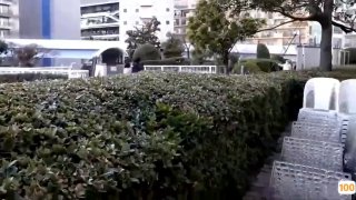 网红脸人间尤物床上骚动起来女神面孔 黑丝长腿大屁股，掰穴蝴蝶逼